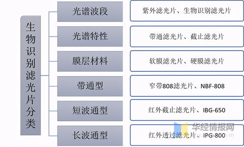 生物識(shí)別濾光片行業(yè)發(fā)展現(xiàn)狀及趨勢(shì) 應(yīng)用范圍與技術(shù)革新并進(jìn)